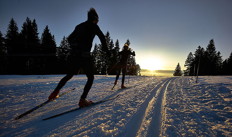 Skatingloipen im Bayerischen Wald